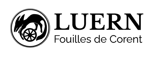 Logo LUERN